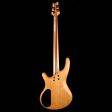 Adler Custom 4-String Bass Burl Maple Top Natural For Sale