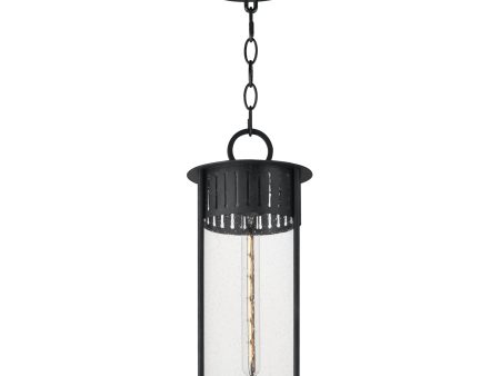 Windsor 1-Light Outdoor Pendant Online