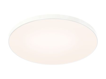 Fusion 21  Trimless Flush Mount Online now