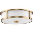 Gilliam 3-Light Flush Mount Fashion