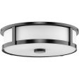 Gilliam 3-Light Flush Mount Fashion